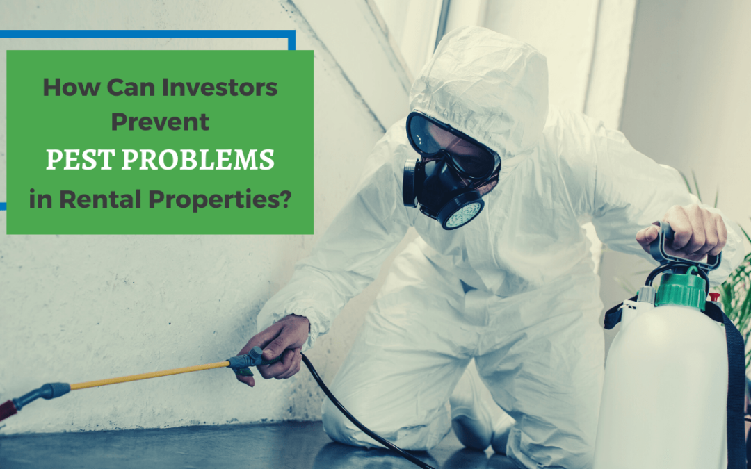How Can Investors Prevent Pest Problems in Winston-Salem Rental Properties?