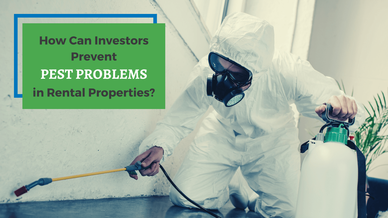 How Can Investors Prevent Pest Problems in Winston-Salem Rental Properties?