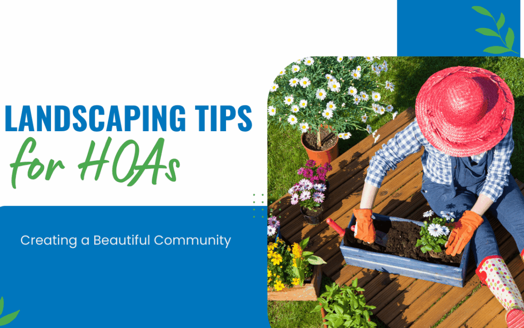 Landscaping Tips for Winston-Salem HOAs: Creating a Beautiful Community