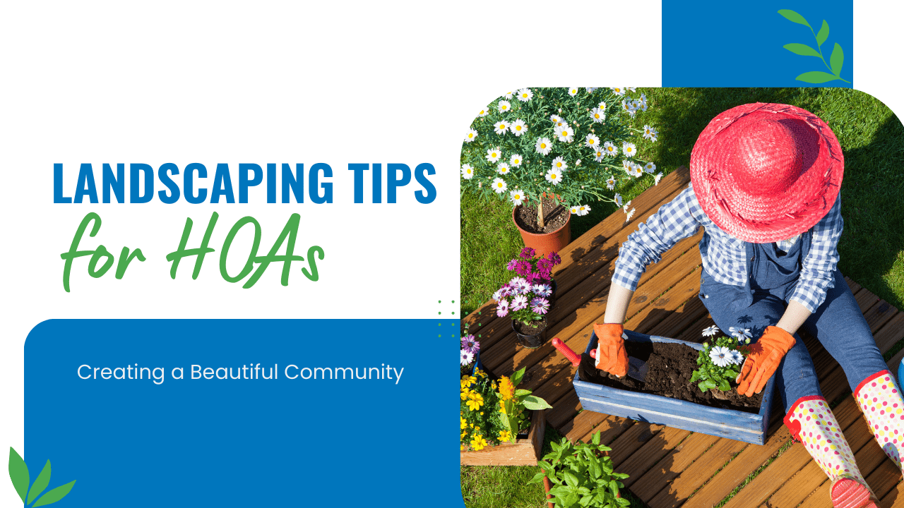 Landscaping Tips for Winston-Salem HOAs: Creating a Beautiful Community