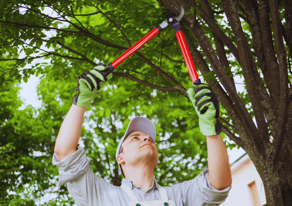 Grounds Care